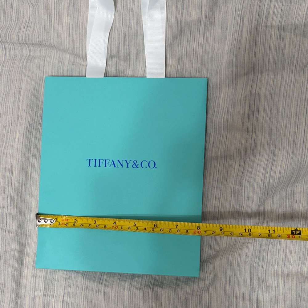Tiffany & Co. Robin's Egg Blue Gift Bag with White Ribbon - Picture 3 of 5